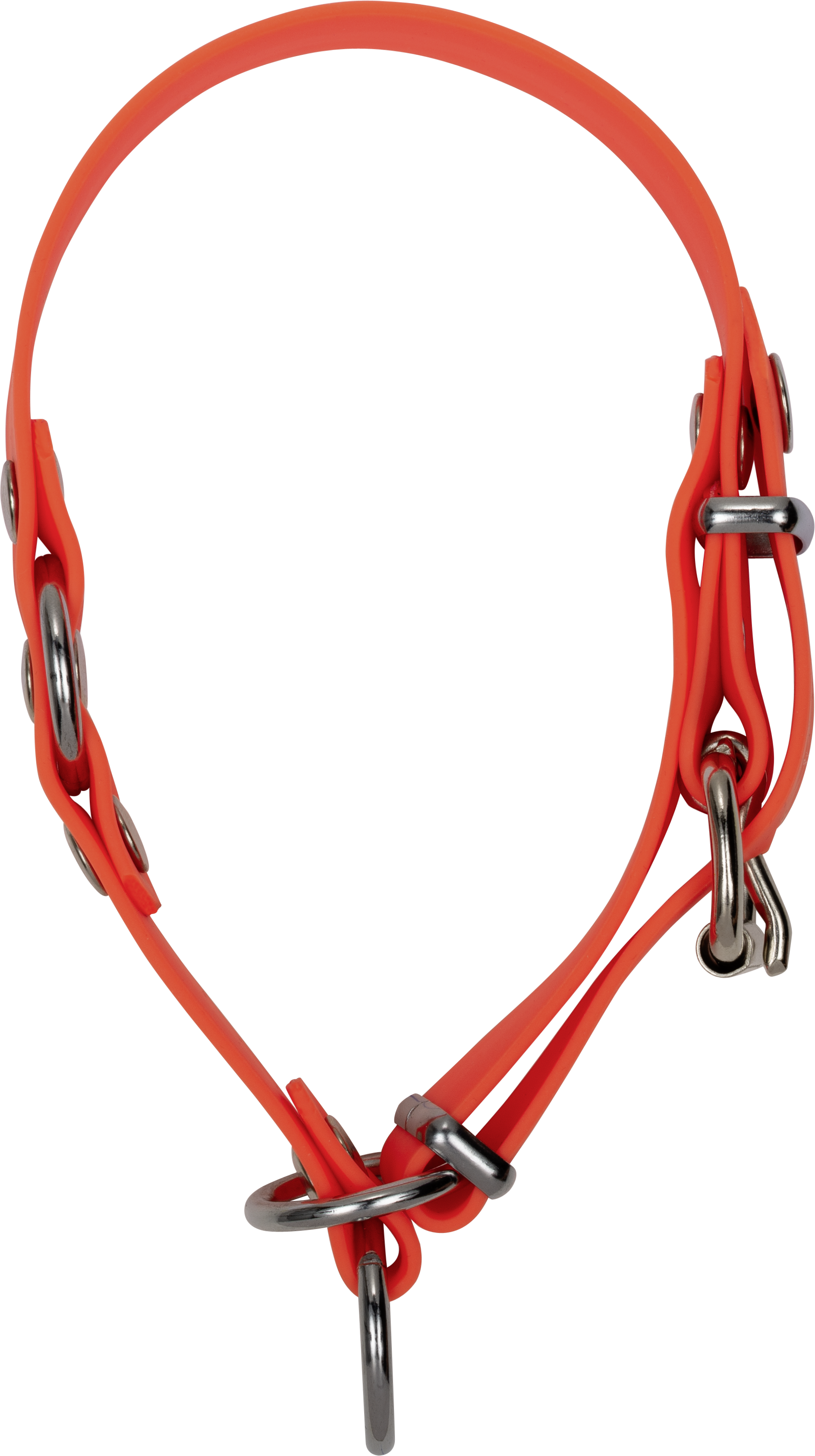 Dog Collar Professional Orange