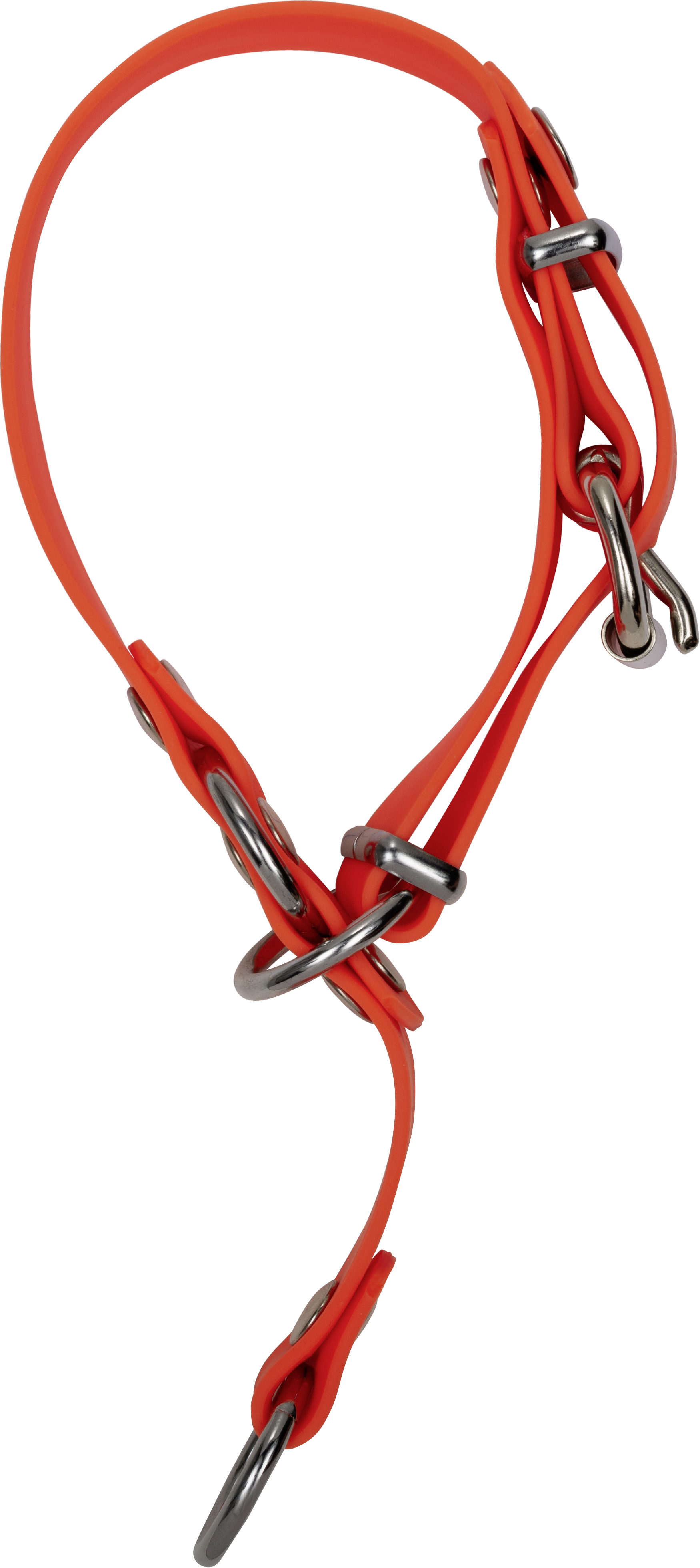 Dog Collar Professional Orange